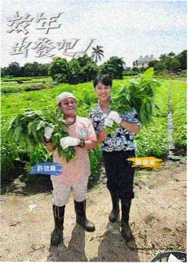 奔跑吧兄弟 在线观看